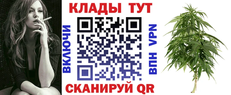 Где продают наркотики Верещагино Псилоцибиновые грибы  МАРИХУАНА  Меф мяу мяу  ГАШИШ  LSD-25  A-PVP 