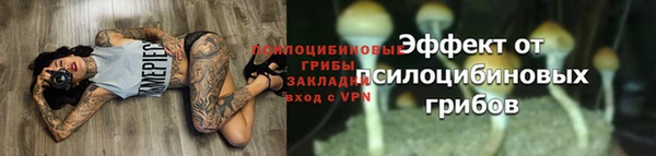 a pvp Белоозёрский