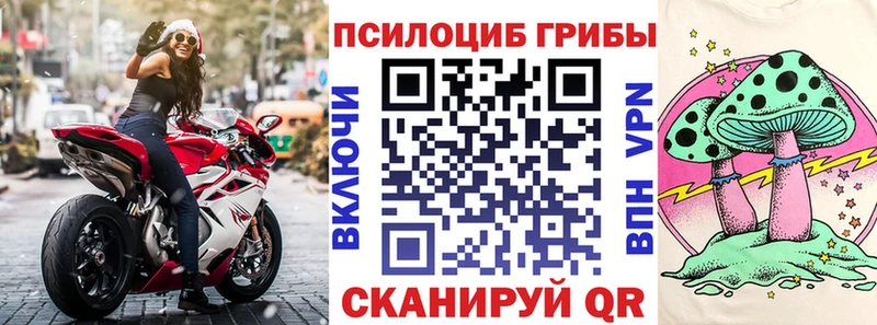 купить наркоту Верещагино Галлюциногенные грибы Cubensis